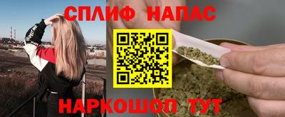 гидра Будённовск
