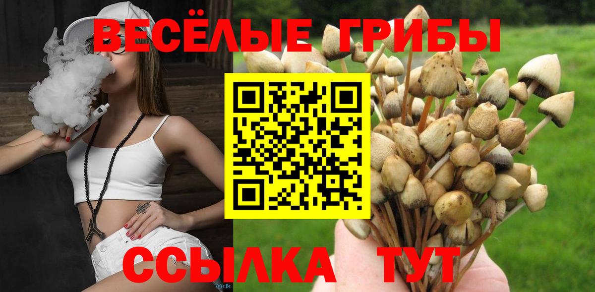Черкесск  Псилоцибиновые грибы Cubensis  Псилоцибиновые грибы мицелий  Вход с VPN 